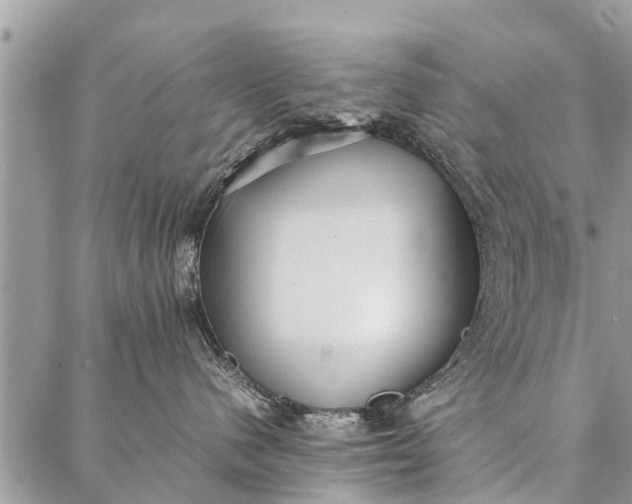 X0000087360480200705041900