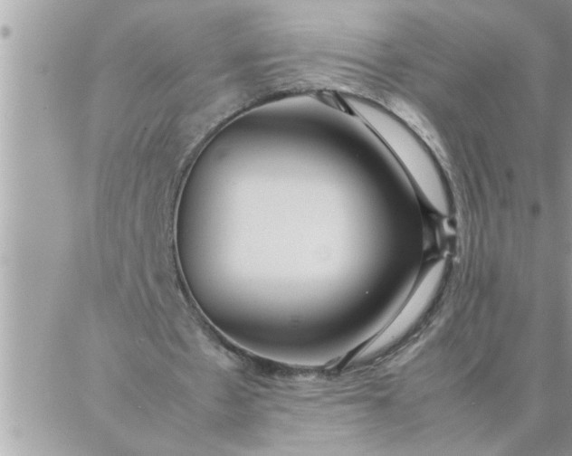 X0000087360481200705041859