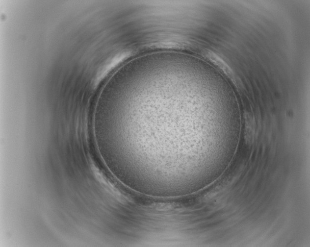 X0000087360482200705041859