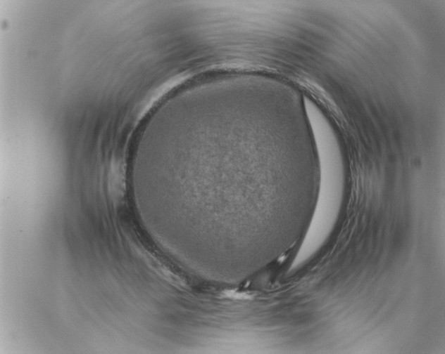 X0000087360484200705041859