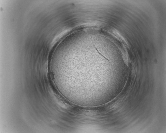 X0000087360486200705041859