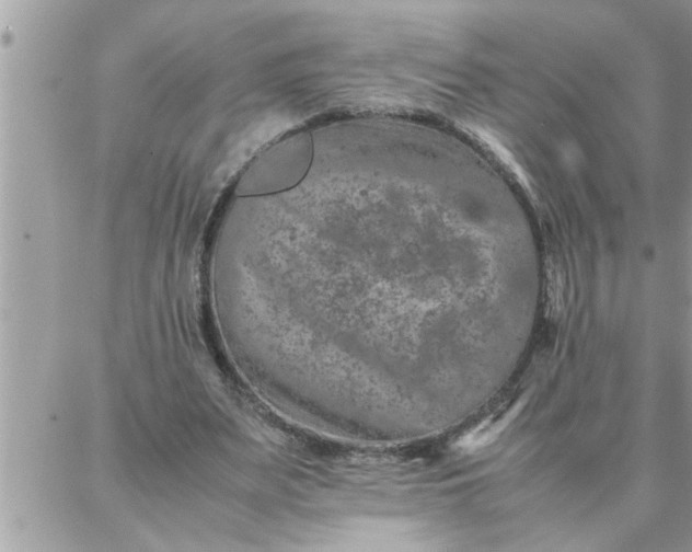 X0000087360487200705041859