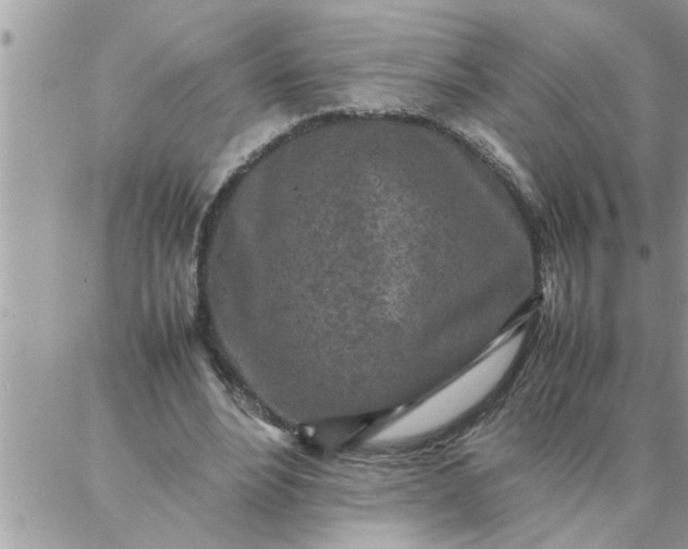 X0000087360488200705041859