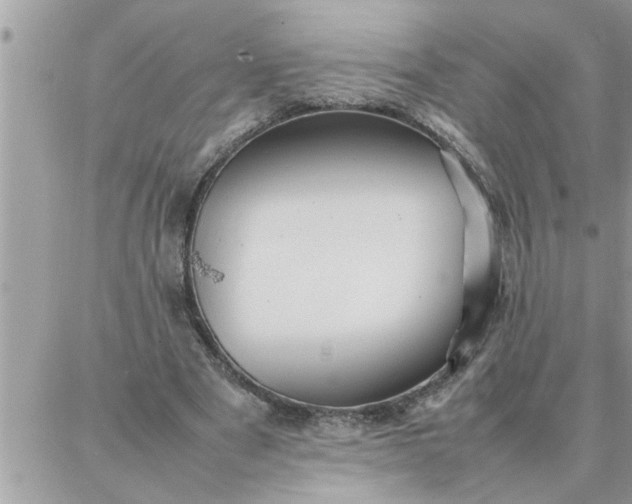 X0000087360489200705041859