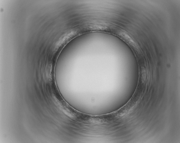 X0000087360490200705041859