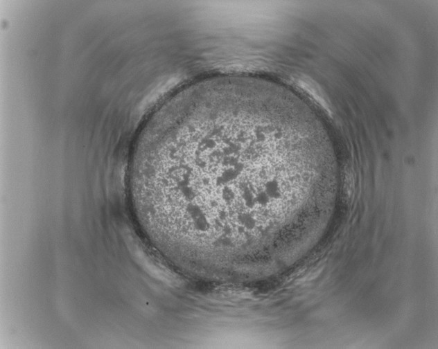 X0000087360491200705041859