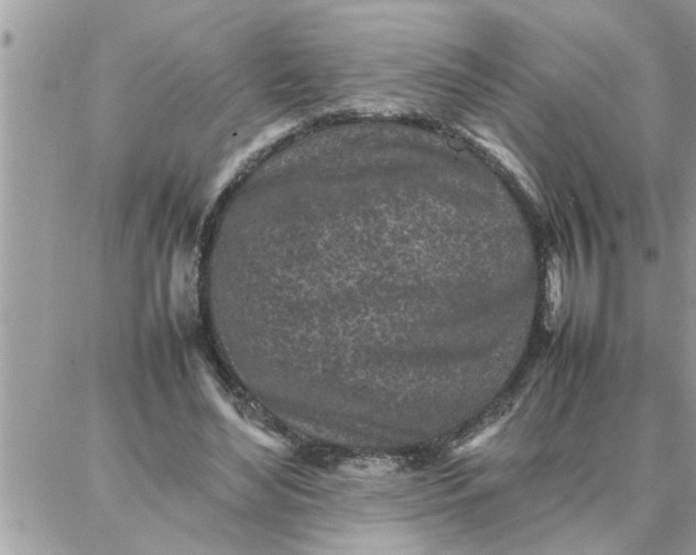 X0000087360492200705041859