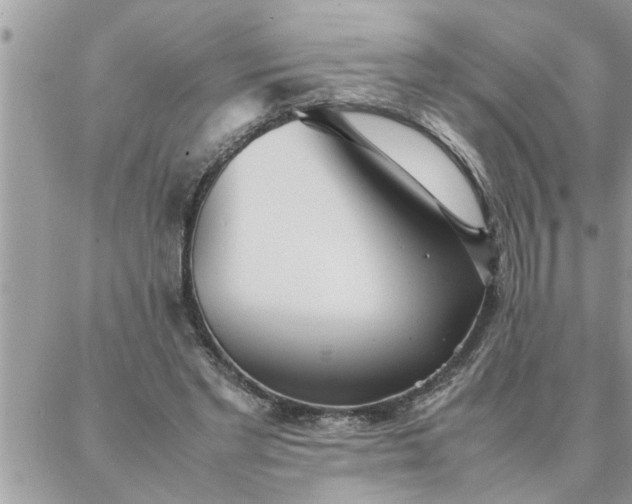 X0000087360493200705041859