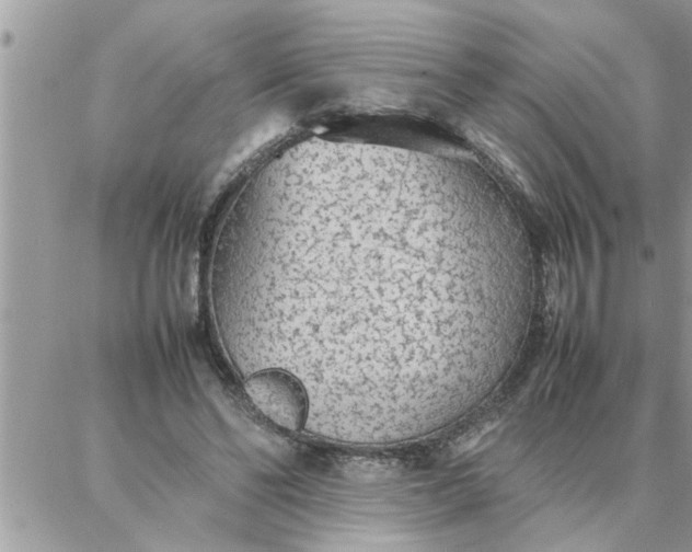 X0000087360494200705041859