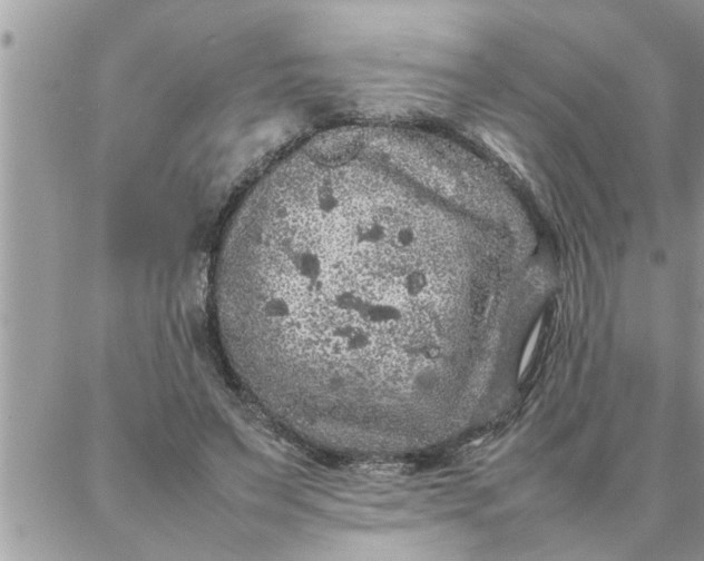 X0000087360495200705041859