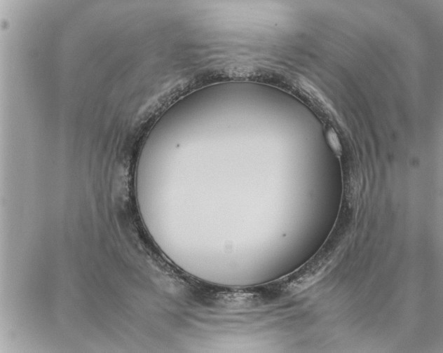 X0000087360497200705041859