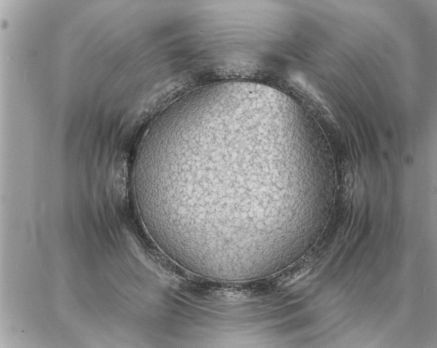 X0000087360498200705041859