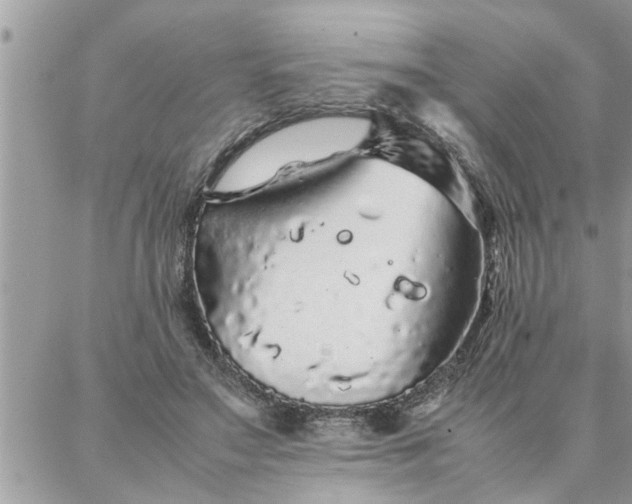 X0000087360499200705041859