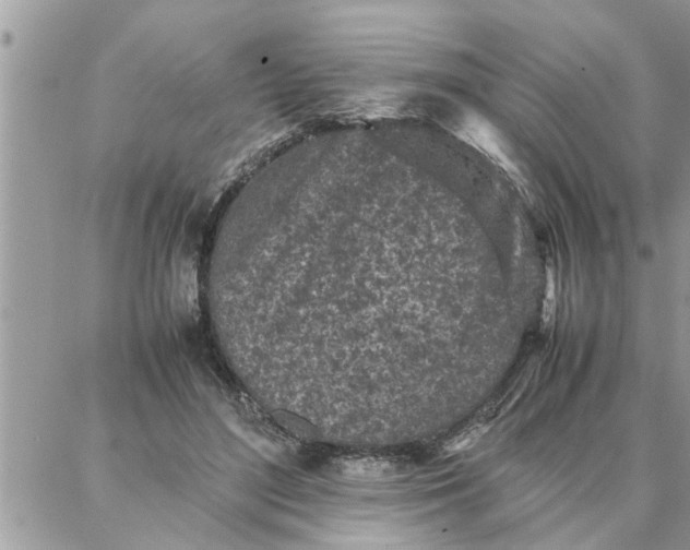 X0000087360500200705041859