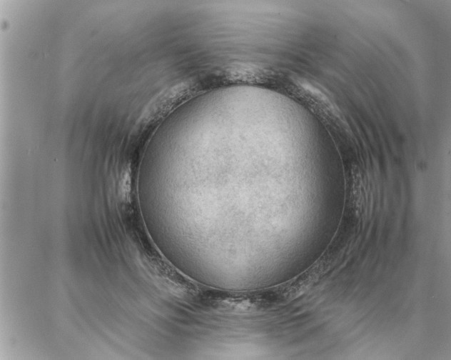 X0000087360502200705041859