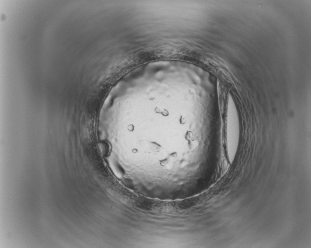 X0000087360503200705041859