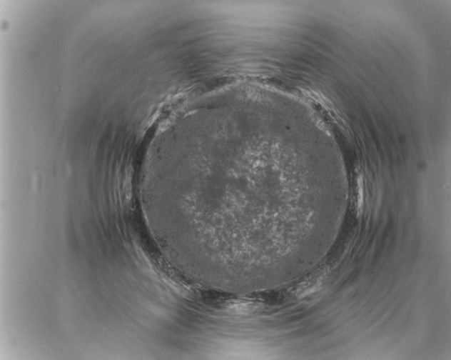 X0000087360504200705041858