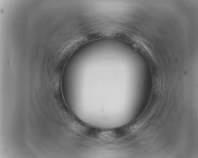 X0000087360505200705041858