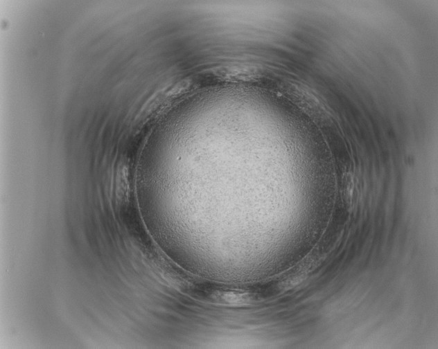 X0000087360506200705041858