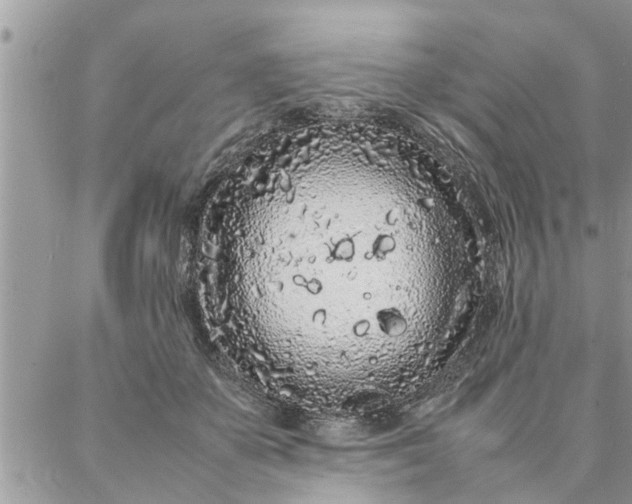 X0000087360507200705041858