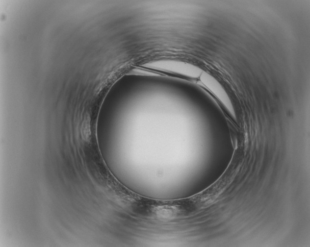 X0000087360508200705041858