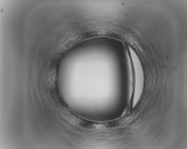 X0000087360509200705041858