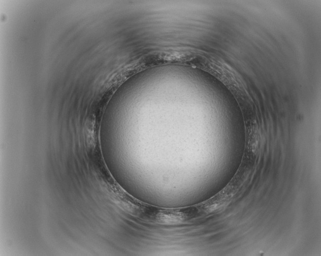 X0000087360510200705041858