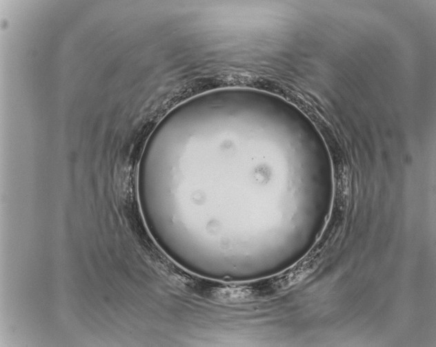 X0000087360511200705041858