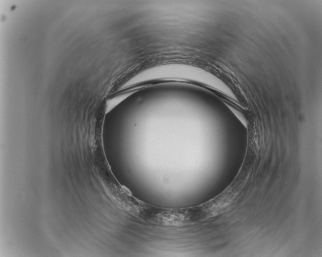 X0000087360512200705041858