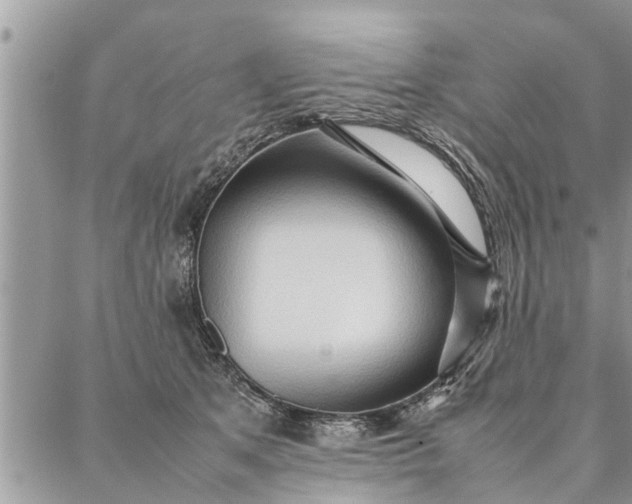 X0000087360513200705041858