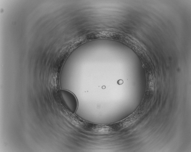 X0000087360514200705041858