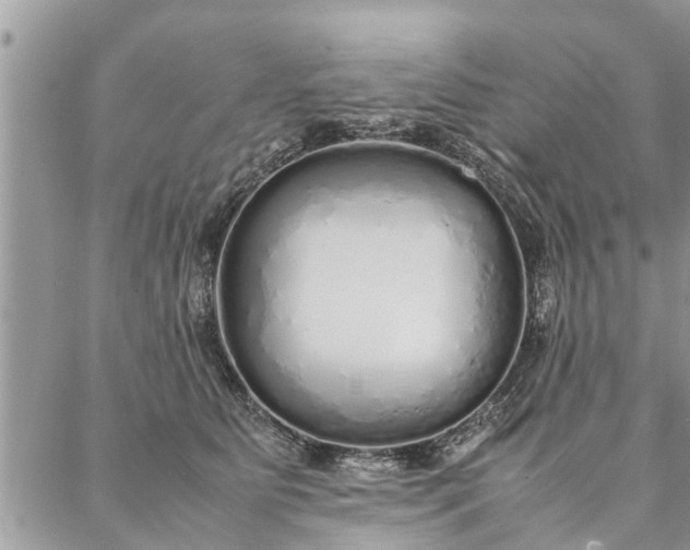 X0000087360515200705041858