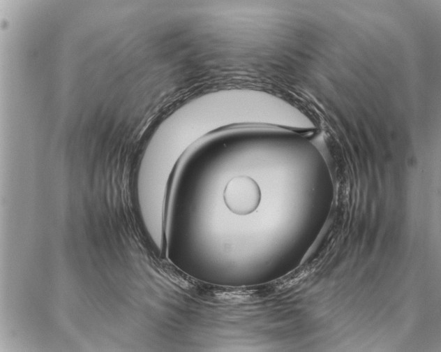 X0000087360516200705041858