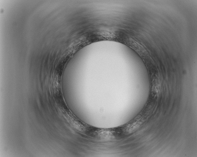 X0000087360518200705041858