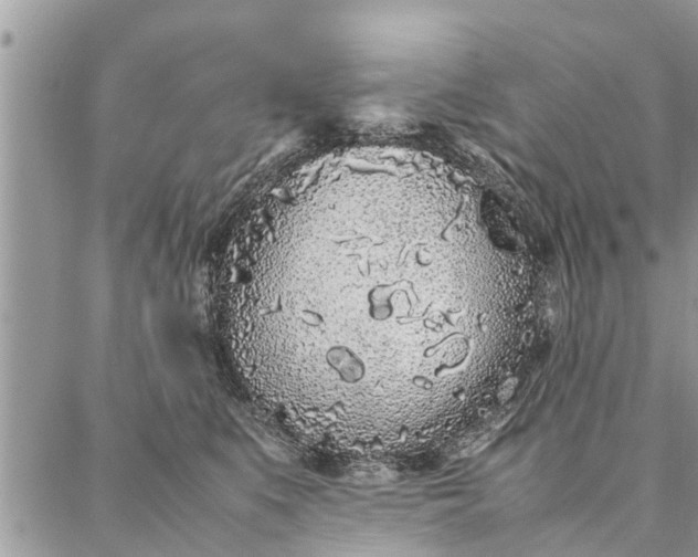 X0000087360519200705041858