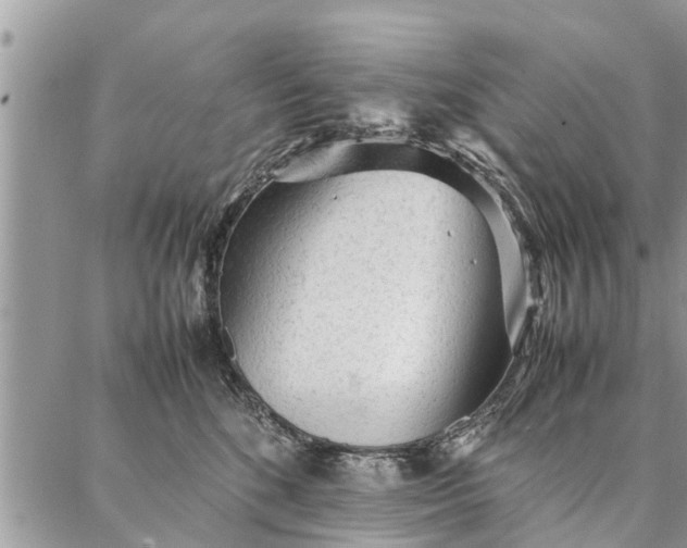 X0000087360520200705041858