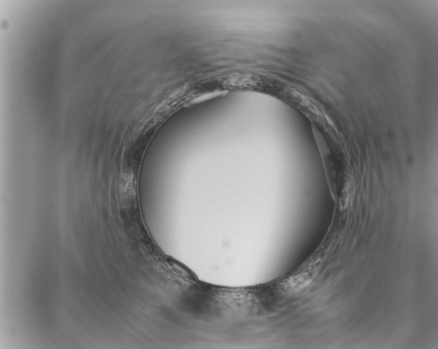 X0000087360521200705041858