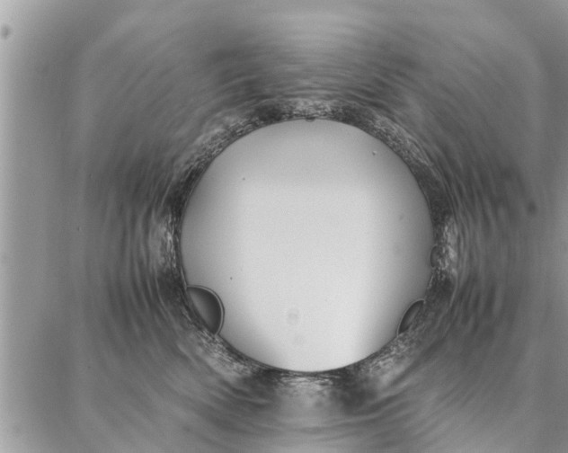 X0000087360522200705041858