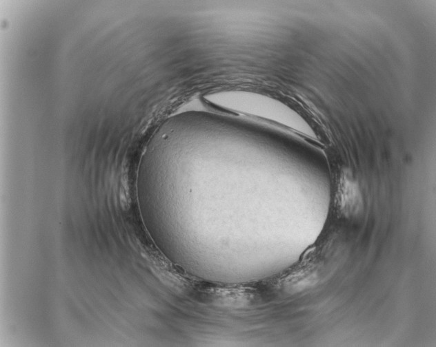 X0000087360524200705041858