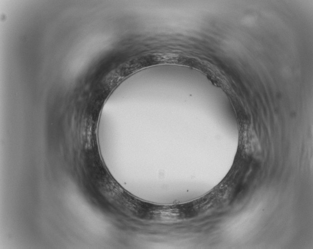 X0000087360525200705041858