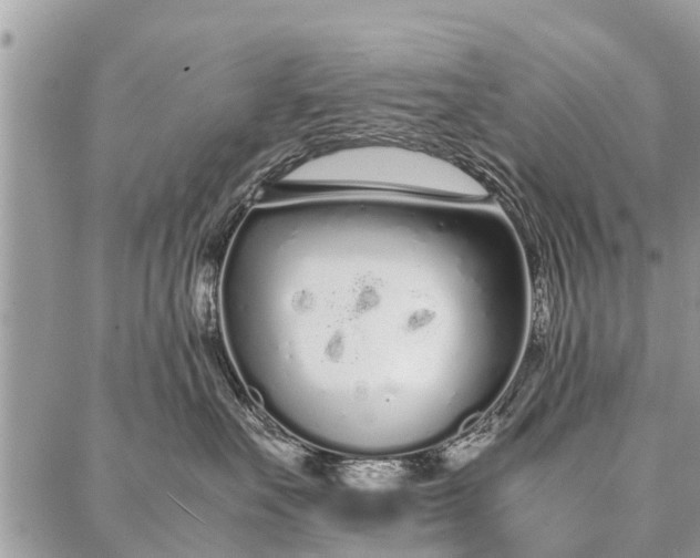 X0000087360527200705041858