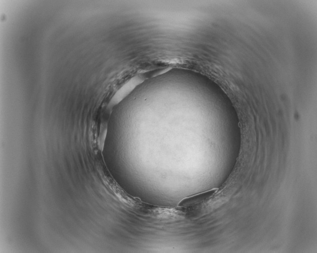 X0000087360528200705041858