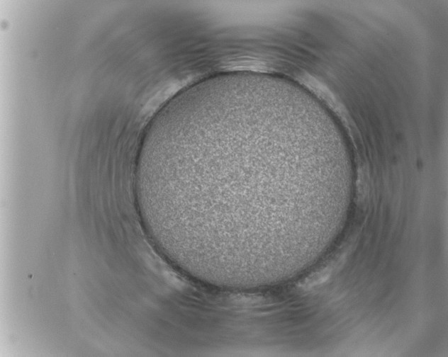 X0000087360529200705041857