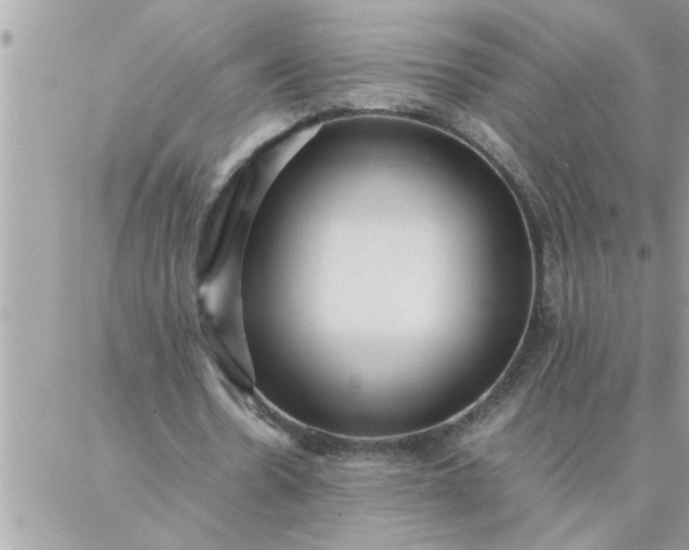 X0000087360530200705041857