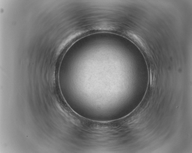 X0000087360531200705041857