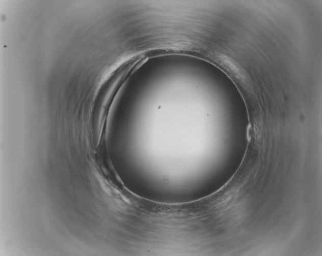 X0000087360532200705041857