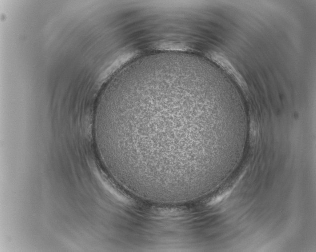 X0000087360533200705041857