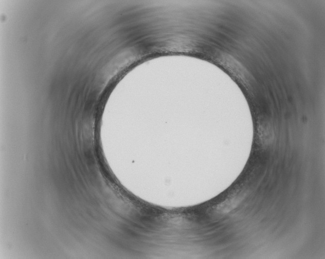 X0000087360534200705041857