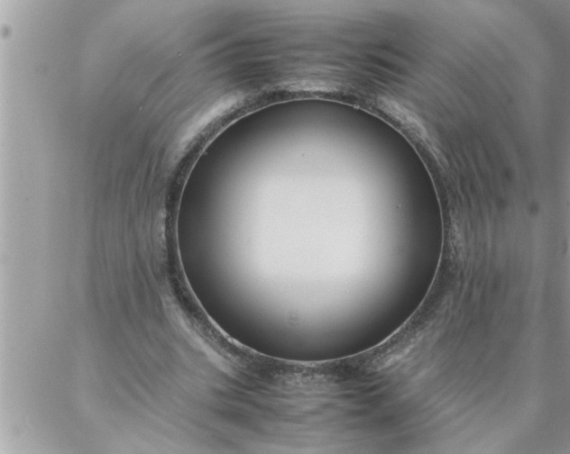 X0000087360535200705041857