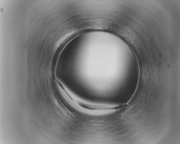 X0000087360536200705041857